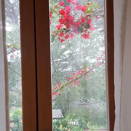 Maison d'hôtes L'orca Di San Gavinu 3*