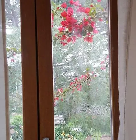 L'orca Di San Gavinu