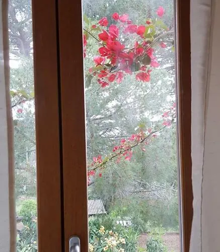 L'orca Di San Gavinu